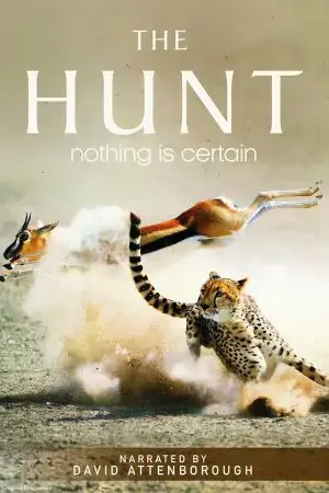 The Hunt The Hunt